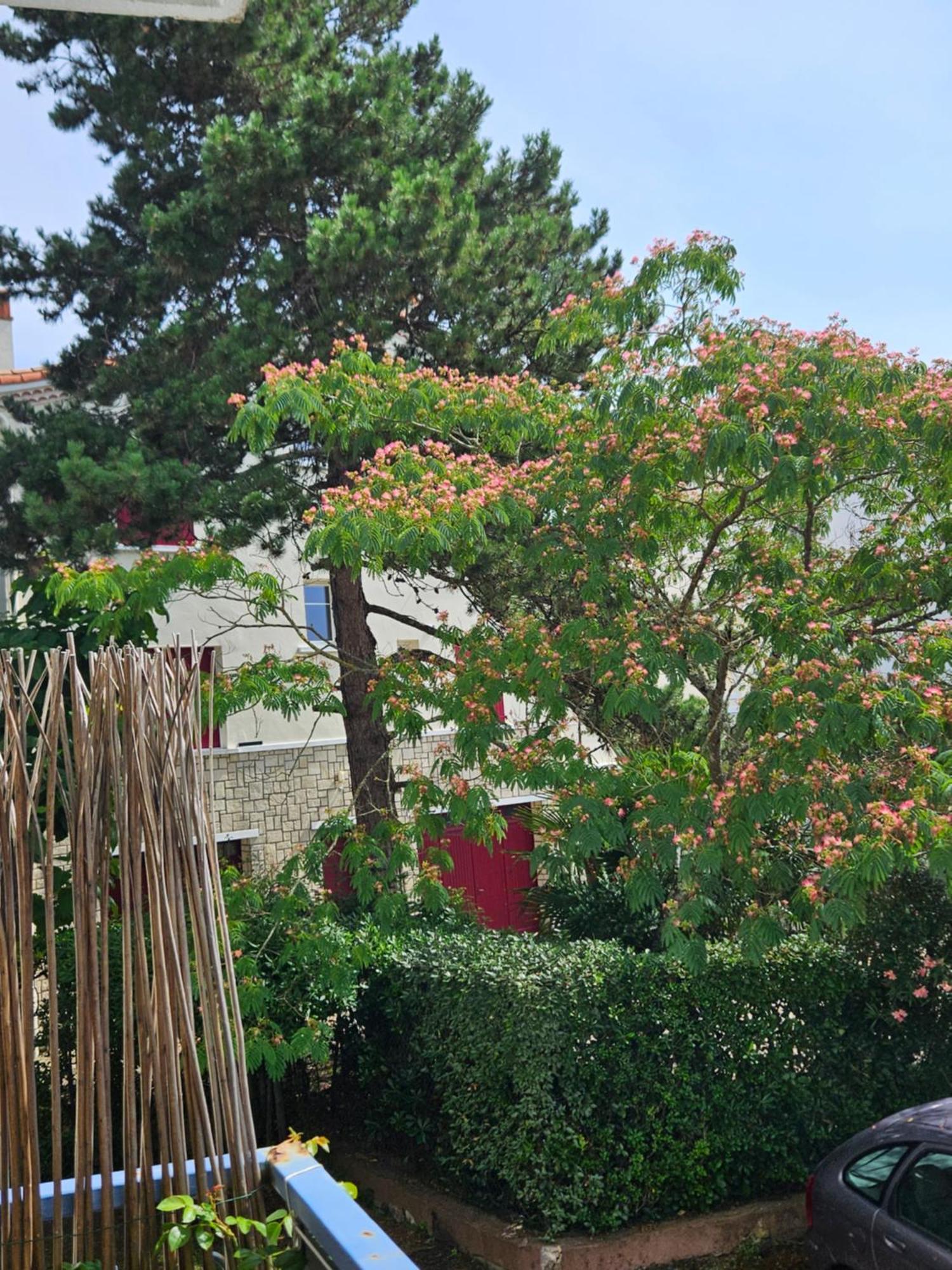 De Charme , Royan, Proche Avec Balcon. * Royan
